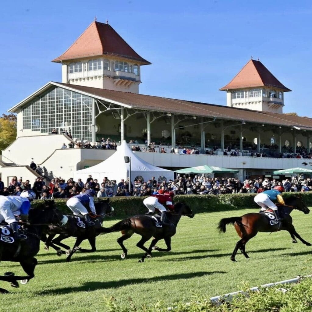 Galopprennbahn Scheibenholz - Traditioneller Aufgalopp 01.05.2026 12:00 Uhr 6 Arena Ticket | Galopprennbahn Scheibenholz - Traditioneller Aufgalopp 01.05.2026 12:00 Uhr | Rennbahn Scheibenholz 1x1 20260225141702