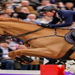 Partner Pferd 2025 - Tageskarte Sonntag - Inkl. Messebesuch Leipzig Leipziger Messe  19.01.2025 08:00 Uhr