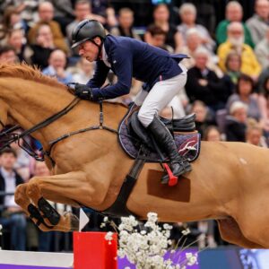 Partner Pferd 2025 - Abendkarte Freitag - Inkl. Messebesuch Ab 15 Uhr Leipzig Leipziger Messe  17.01.2025 15:00 Uhr