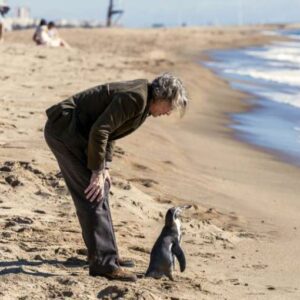 Filmnächte Leipzig Der Pinguin meines Lebens 19:30 Uhr Einlass Leipzig Scheibenholz Sommerkino 10.08.2025 21.00 Uhr
